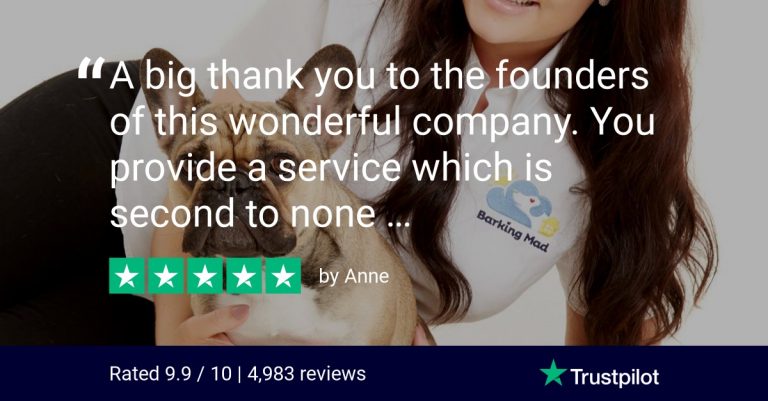 Trustpilot Review Barking Mad Dog Sitting Home Boarding Five Star