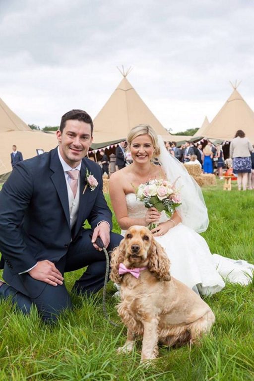 Dog Sitting Wedding Barking Mad Cocker Spaniel Home Boarding