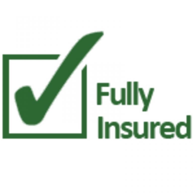 Fully Insured Dog Sitting Logo